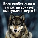 ���� ������, �������, 50 ��� - ��������� 5 ������ 2019 � ������ ������ ��������