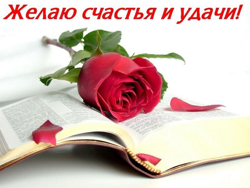   ,    . - 28  2019  13:42