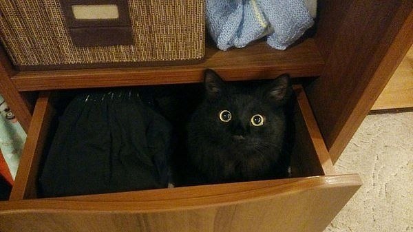 ?!  ??!!!