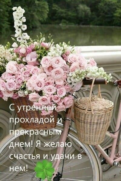   ,    . - 25  2019  22:44