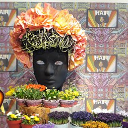 Alex, �������, 56 ���