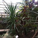 ���� ����, �����������, 50 ��� - ��������� 6 ������ 2019 � ������ ������������� ���