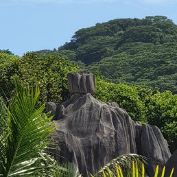 ���� ��������, ������, 55 ��� - ��������� 14 ��� 2019