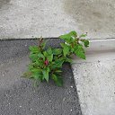  ••,  -  11  2019       ...