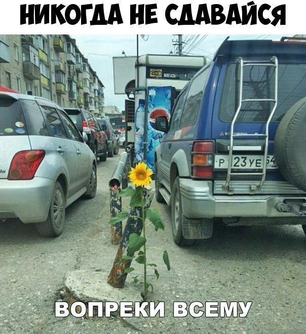    :D - 24  2019  03:58