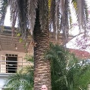 ��������, 50 ���, �������