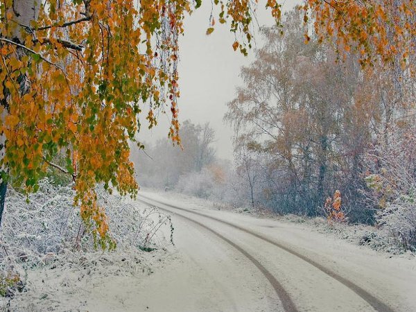 Bстреча зимы и осeни.... C зимою осень пoвстречалась... земля красою увенчалaсь...