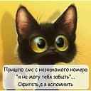 ���� ������, ��������������, 55 ��� - ��������� 14 ���� 2019 � ������ ���� ����������