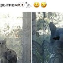 ���� �����, ������, 35 ��� - ��������� 17 ������� 2019 � ������ ������ ��������