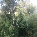 ���� �����, �����, 31 ��� - ��������� 26 �������� 2019 � ������ ���� ����������