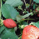 ���� ���� ������, �������������-����������, 76 ��� - ��������� 9 ������ 2019