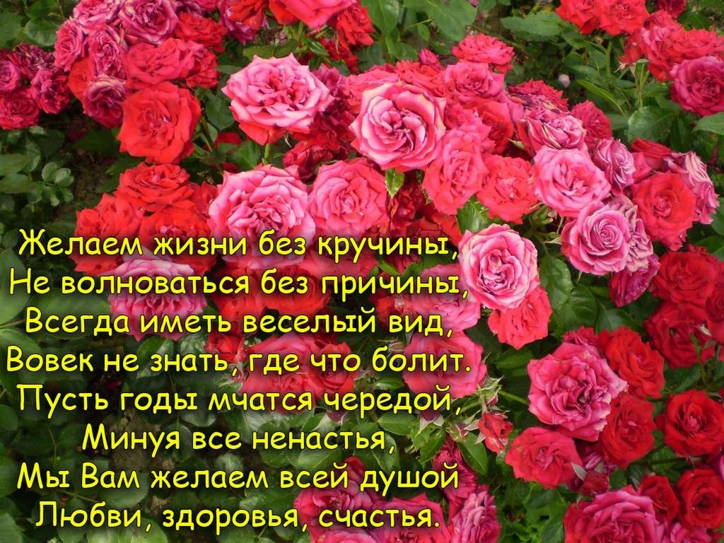 ПРИВЕТСТВИЯ и ПОЖЕЛАНИЯ, открытки на каждый день. опубликовал пост от 12  апреля 2019 в 23:06 | Фотострана | Пост №1921865884