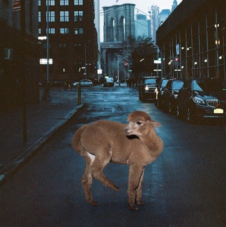         - 2