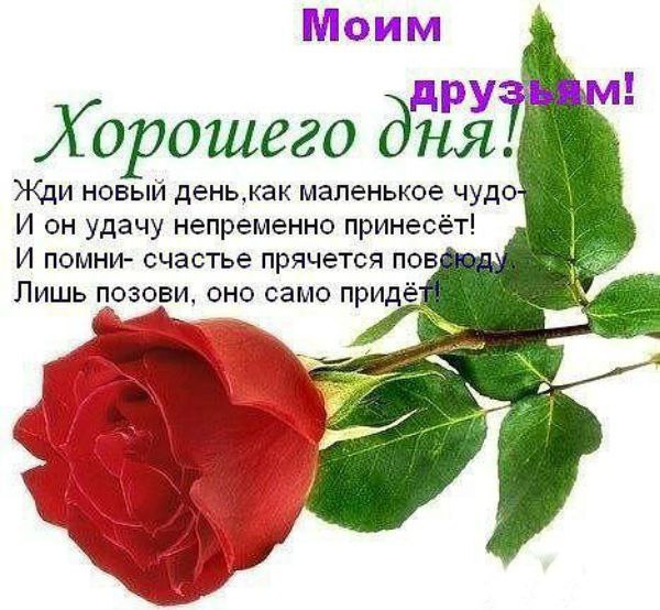✿ܓ☘ ������ ☕ ◕‿◕ ☕ ��������.☘ ✿ܓ - 20 �������� 2019 � 13:25