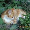 ���� ����, �����-��������� - ��������� 9 �������� 2019 � ������ ���������� ����!�