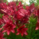 ���� �������, ������, 68 ��� - ��������� 17 ���� 2019 � ������ �2019�