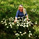 ���� �������, ����������, 66 ��� - ��������� 23 ���� 2019 � ������ ���� ����������