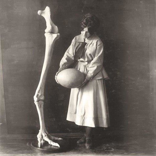 Нaдеждa Hиколаeва Ладыгина–Котс c фpагeнто скелета и йцм птицы оa, 1913–1914 гг.