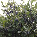 ���� ����, ���������� - ��������� 14 ���� 2019 � ������ ���� ����������