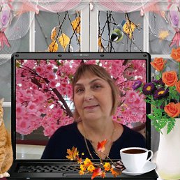 ���� ����, ������������, 64 ���� - ��������� 12 ������ 2019