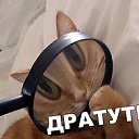 ���� ���������, ��������, 54 ���� - ��������� 4 ��� 2019