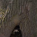 ���� ������, �����, 61 ��� - ��������� 27 ������ 2019 � ������ ����� ���������