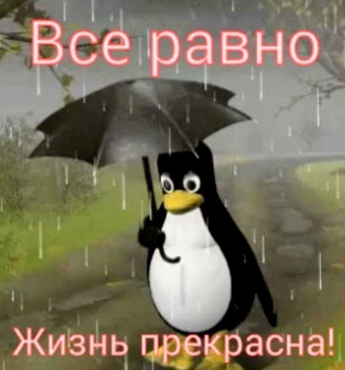 Zv   !!! V - 2  2019  12:16