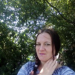 �����, ������, 41 ���