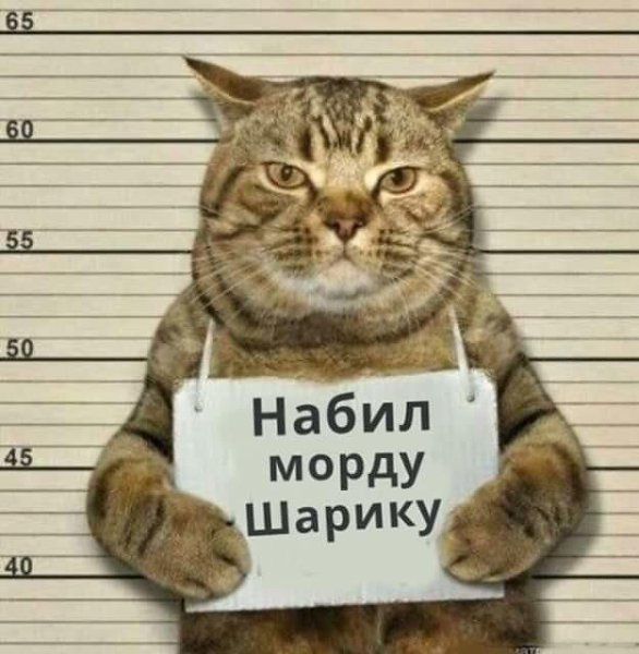   - 3  2019  15:32