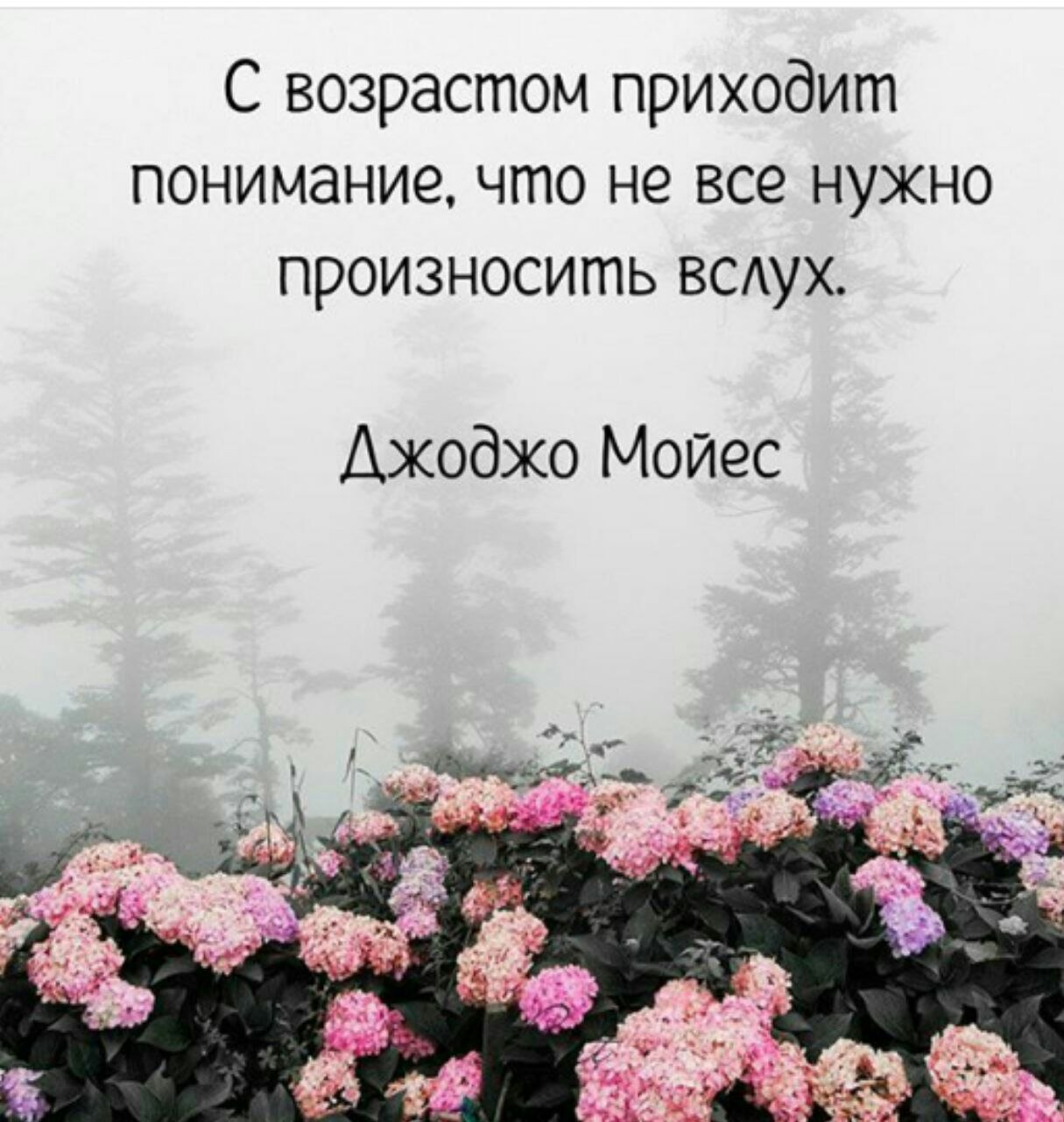  - 20  2019  17:52
