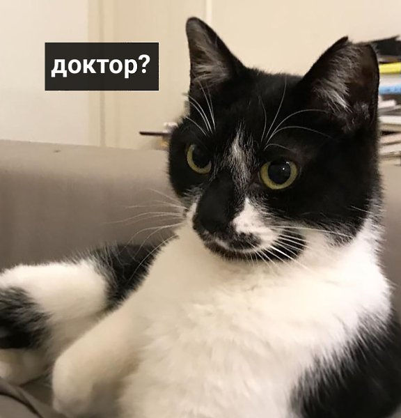      : - 5
