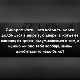 ���� Lika, ���������, 40 ��� - ��������� 31 ���� 2019