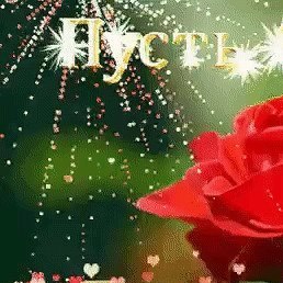 Gena, �������