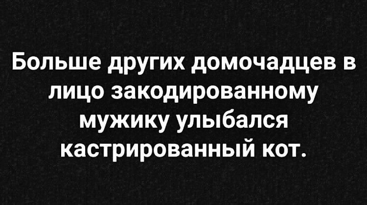 ☆ ☆ - 19  2019  01:57