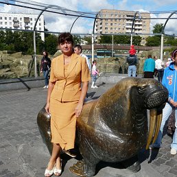 , 64, 