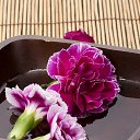 ���� Andrey, �����-���������, 62 ���� - ��������� 30 ������ 2019 � ������ ���� ����������