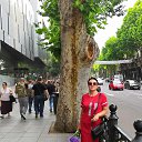 �������, ���� 2019 �� ������� ��������