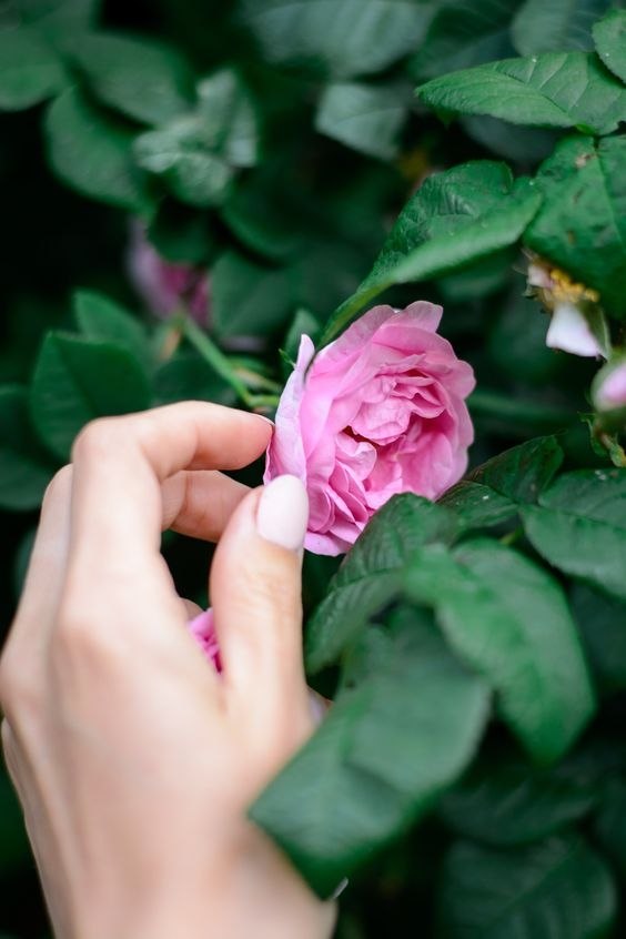 ������� ������� ������ ���������� ���� ������ �������, �������� ��� ��������� ��� ������� ��������� ...