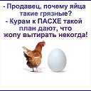  ,  -  16  2019    