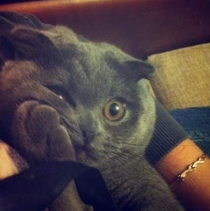 Ko ae pe ...   o c: "  ?... a ...