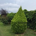 ���� � ����� ��� ����� �������, ��������, 75 ��� - ��������� 7 �������� 2019