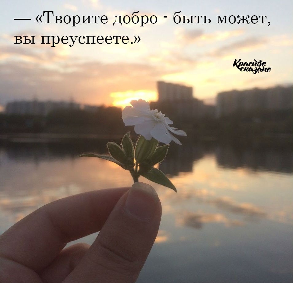   . . . - 11  2019  03:51