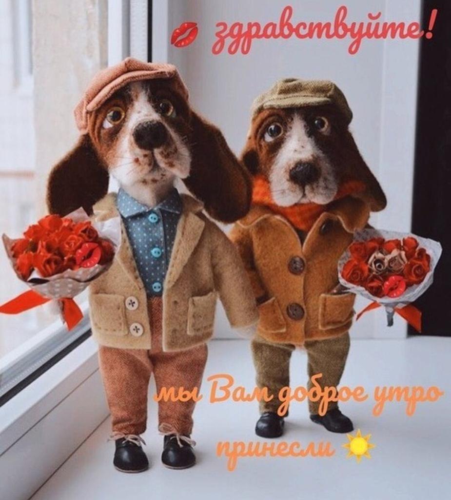 " ") - 4  2019  04:20