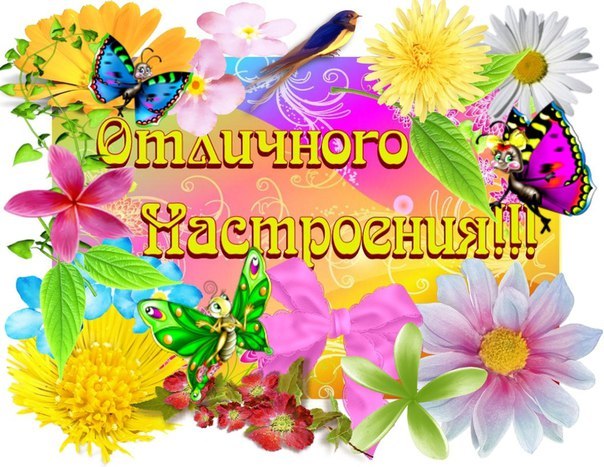   ,    . - 13  2019  13:46