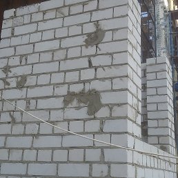 ������, �������, 61 ���