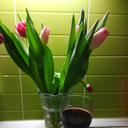 Gdfh, ���������