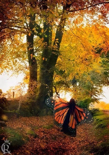      .   (Alassie)   ... - 7