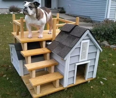 ��� ���� ���� ��� ����� �������� �������