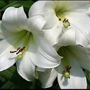 ���� ��������, ���������, 70 ��� - ��������� 6 ��� 2019 � ������ ������ ��������