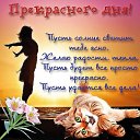 ���� Nn, ������, 60 ��� - ��������� 28 ���� 2019